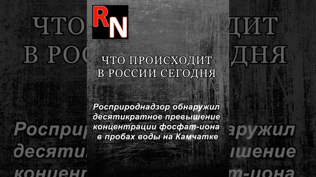 Новости России сегодня | Самые свежие новости России смотреть онлайн