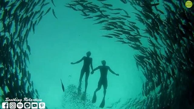 Музыка Для Души,, МЕЛОДИЯ ВЕСНЫ ,,Музыка Сергей Грищук #МУЗЫКА #КРАСИВАЯМУЗЫКА #ocean смотреть онлайн