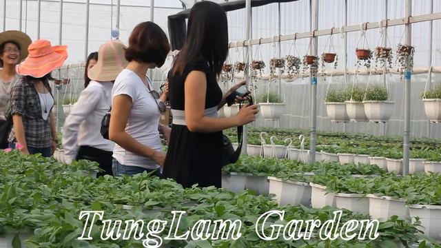 Hoa Dạ Yến Thảo Với Thành Viên Webtretho (P1)