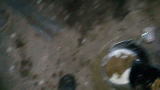 рацион и норма кормления моих животных. смотреть онлайн