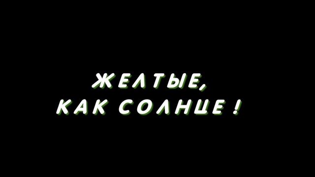 ОРЕНБУРГСКИЕ СТЕПИ.THE ORENBURG STEPPE. Zelin.