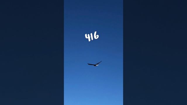 AQUARIUS ♒️ 2/3 #416 Temptations, Anxieties, Concerns….. #numerology #astrology #answers #key смотреть онлайн