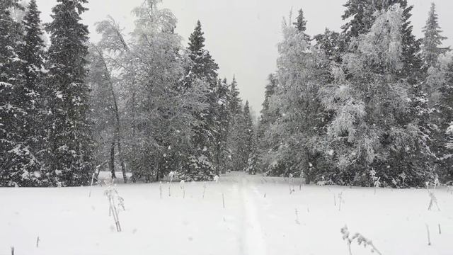 Восхождение на г. Поперечная хр. Зигальга, 08.01.2020 смотреть онлайн