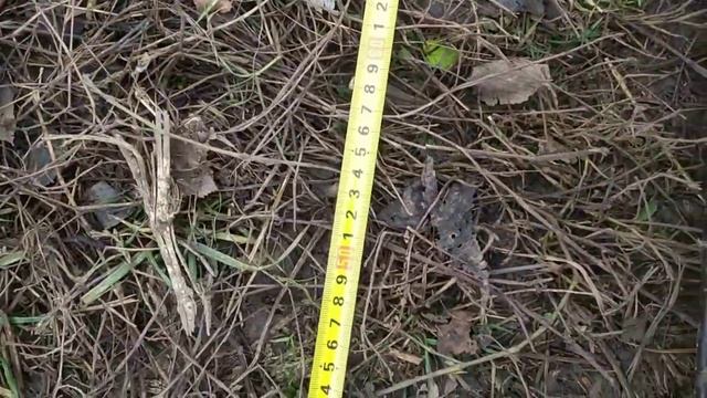 Подвой для реализации 54-118, б7-35 и s1 смотреть онлайн