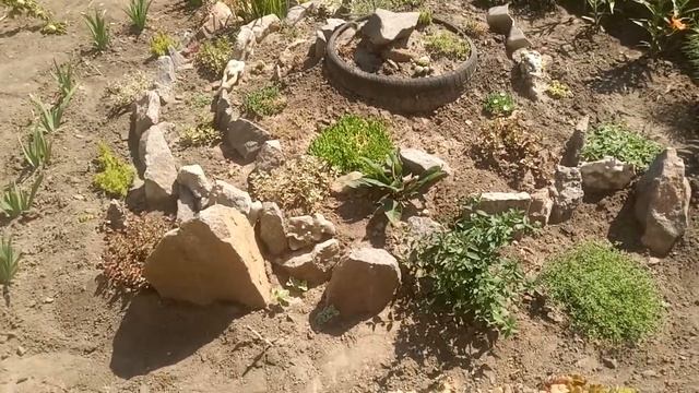 Альпийская горка для начинающих!!! смотреть онлайн