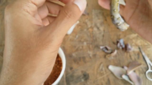 || FIXING A STEM DAMAGED SUCCULENT || смотреть онлайн