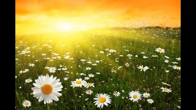 ЧТО ТАКОЕ АФФИРМАЦИИ смотреть онлайн