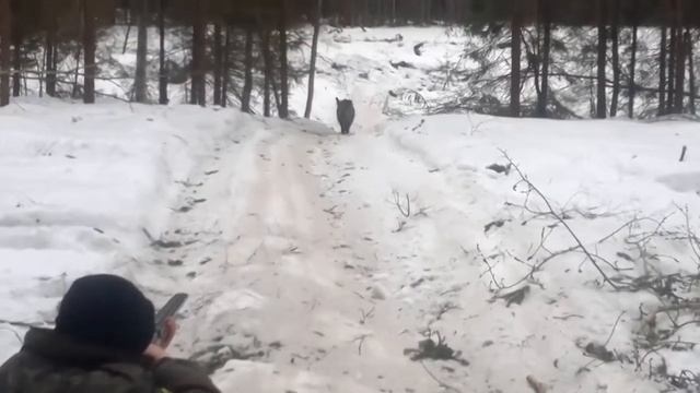 Горе охотник смотреть онлайн