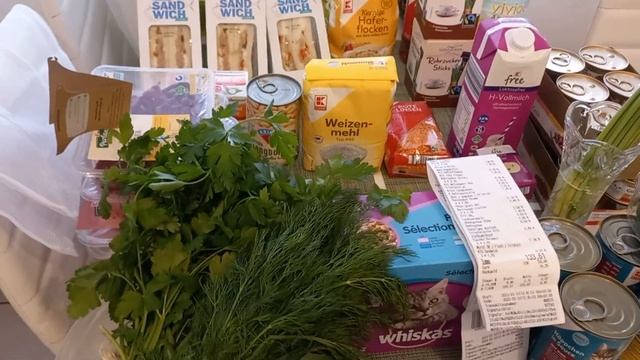 СЕГОДНЯШНЕЕ 