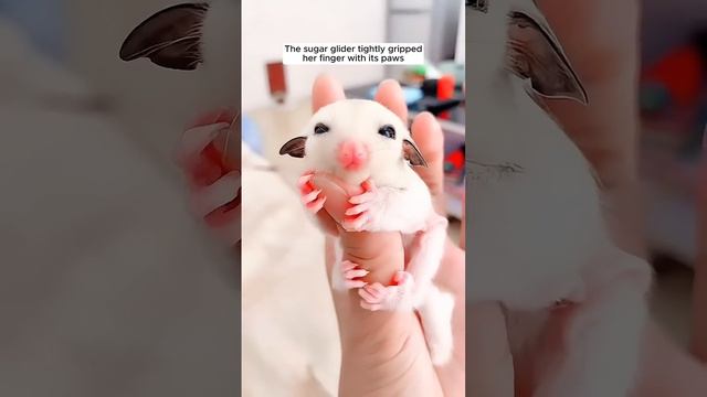 Нежность 🥰 смотреть онлайн