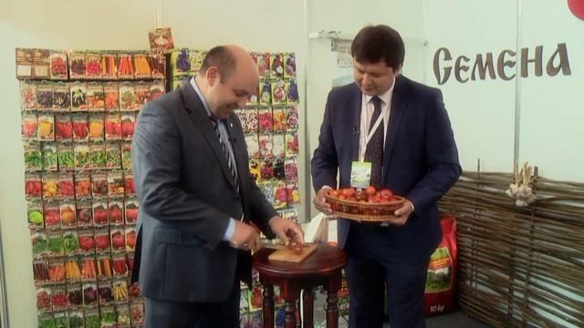 Черри Томат Шоколадные яблочки F1 смотреть онлайн