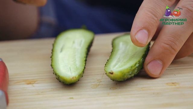 ОБЗОР ПАРТЕНОКАРПИЧЕСКОГО ОГУРЦА УРАН F1 смотреть онлайн