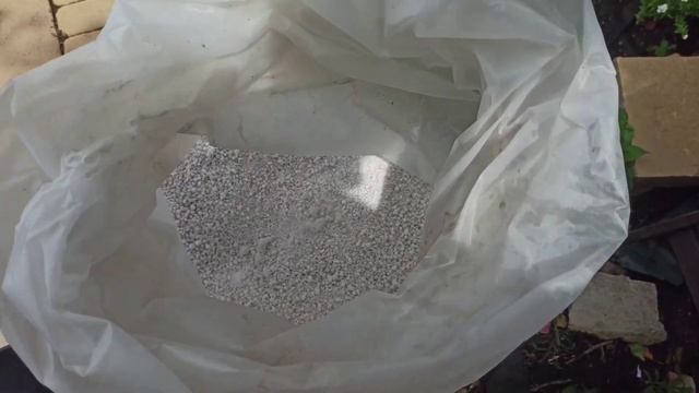 Черенкование бегонии. смотреть онлайн