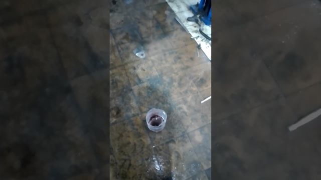 Мазда 6 сюрприз от АКПП смотреть онлайн