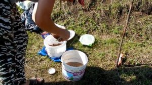 Ловля на резинку с берега | Ловим Окушков | Клев как с пулемета.