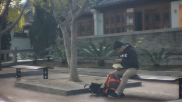 "Hipster Lens" Review - the Dreamy Diana F+ смотреть онлайн