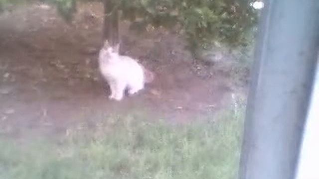 fritz 2 смотреть онлайн