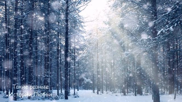 Голодная девочка попросила у сторожа кусочек хлеба, а он прогнал её. Реакция начальника шокировала