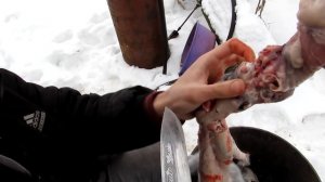 Как правильно забивать и разделывать кролика ?