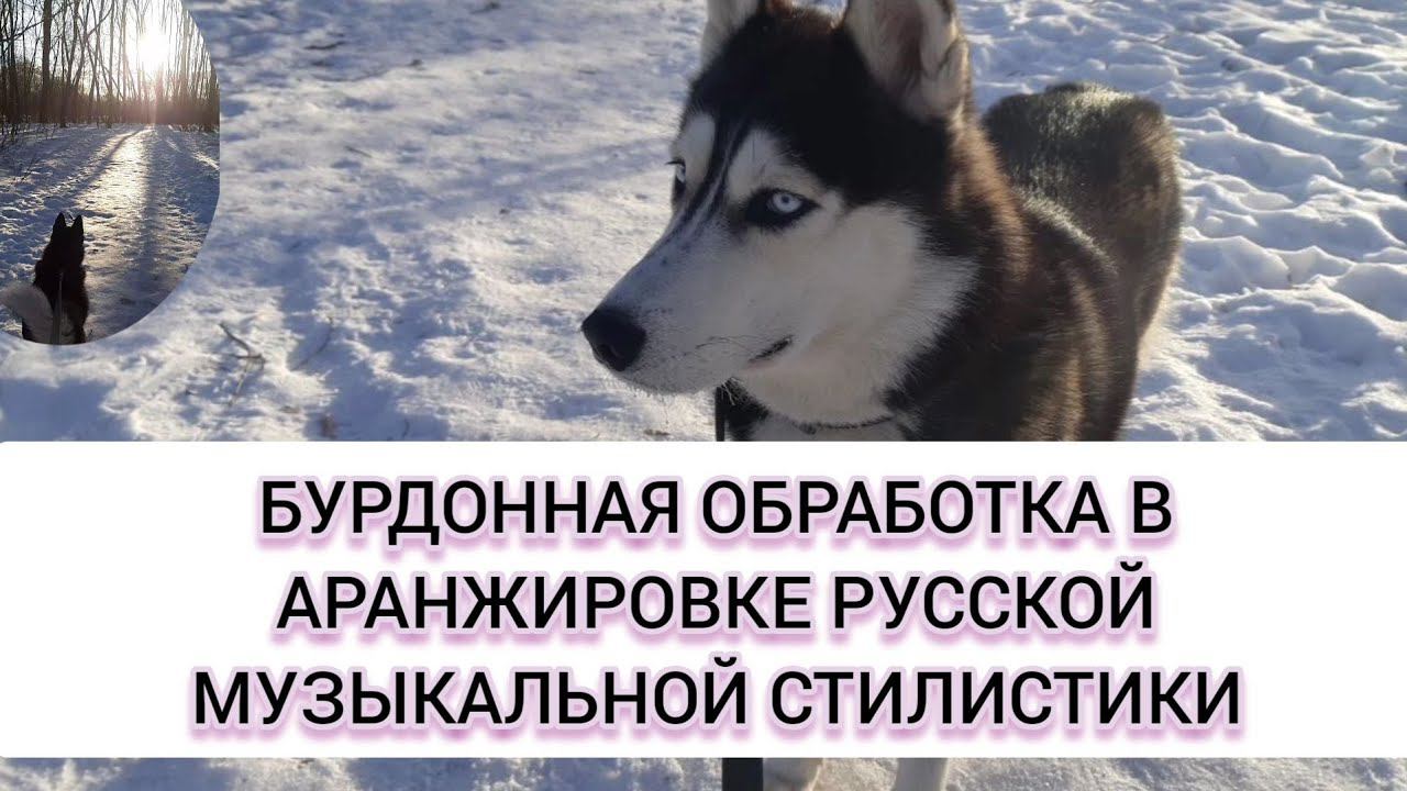 Музыкальное звукооператорское мастерство — 1 курс | Творческая учебная работа