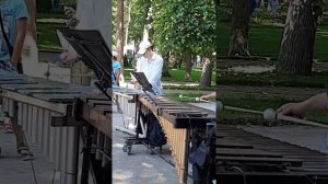 Шикарное исполнение на ксилофоне. Петергоф 2022