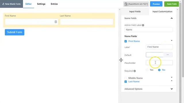 Name Input Field in WP Fluent Form WordPress Plugin смотреть онлайн