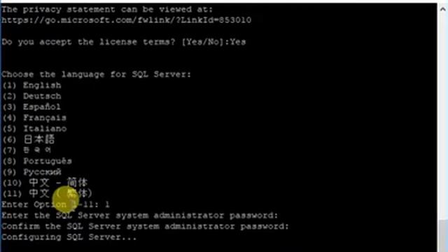 Install SQL Server 2017 on Ubuntu Linux смотреть онлайн