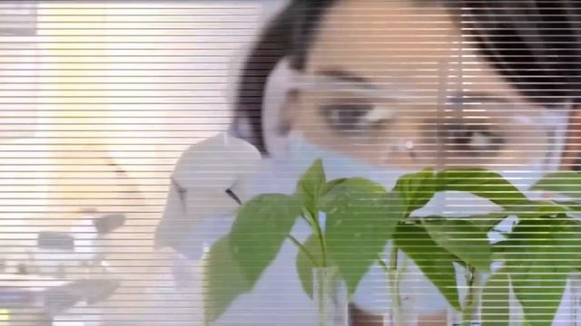 #Смотреть #Всем #Это видео#Запрещено к показу#Во Всем Мире# смотреть онлайн