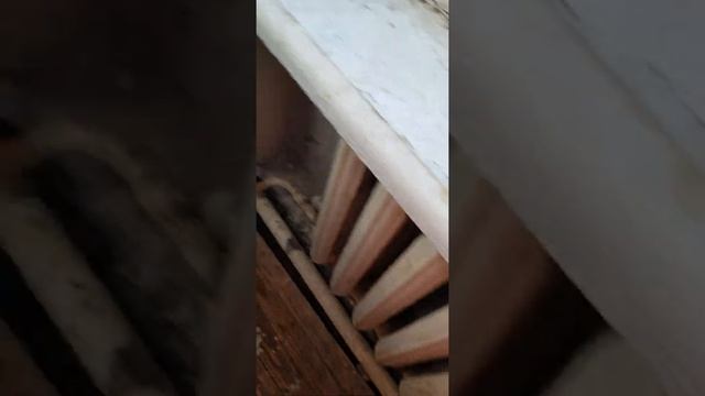 добрый огромный ворон смотреть онлайн