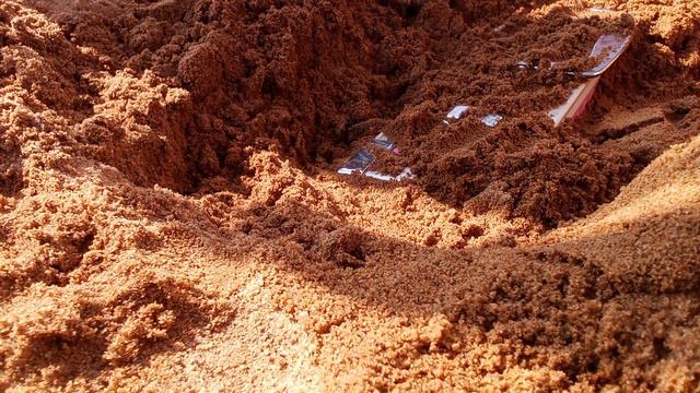 остров сокровищ 2🧭 смотреть онлайн