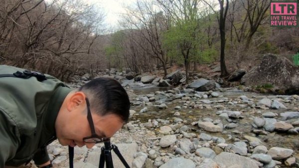 SCOKC 8X20ED Monocular Telescope Review