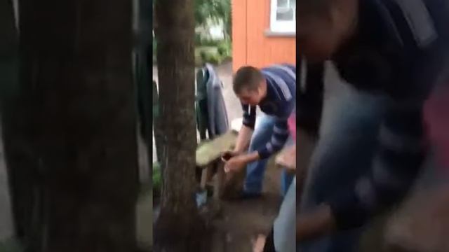 Как травить муравьев с помощью лака для волос смотреть онлайн