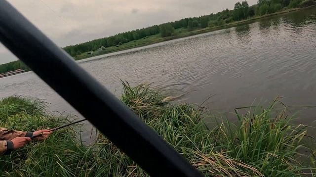 КАРПОВАЯ РЫБАЛКА 2023 | ТРОФЕЙНАЯ РЫБАЛКА | КАК ПОЙМАТЬ КАРПА смотреть онлайн