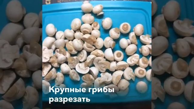 Кулинарные Каникулы