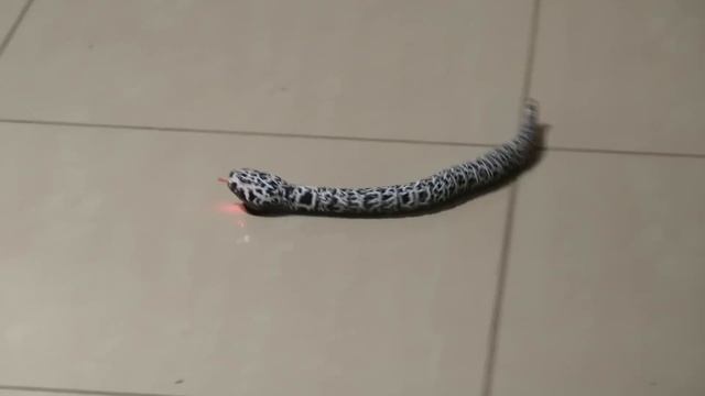 Remote Controlled Rattle Snake By Groovy Gadgets смотреть онлайн
