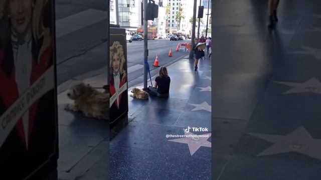 #streetsofamerica #losangeles #hollywood #americadream