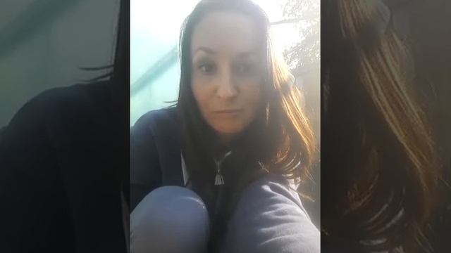 Болгарский перец Геркулес,Марек,Спрингбокс на 23.10.19г. смотреть онлайн