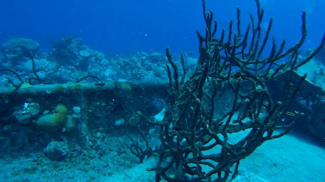 Bay of Pigs second dive 3 смотреть онлайн