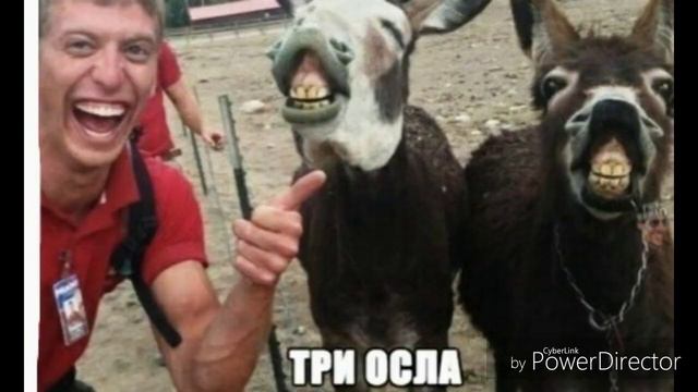 Мандарины это жизнь:) смотреть онлайн