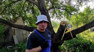 БЕНЗОПИЛА PRO KRAFT в работе.