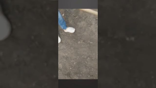 В гостях у бабушки❤️🌿 смотреть онлайн