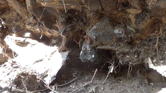 Где найти медь. Мастеркласс по сбору меди. Бошняково. Сахалин. смотреть онлайн