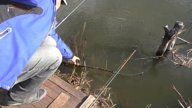 Рыбалка. Ловля карася на поплавочную удочку. My fishing. смотреть онлайн
