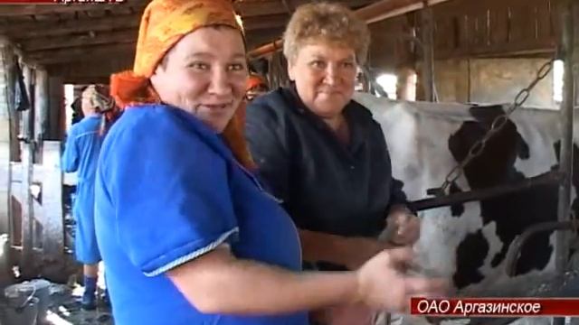 Аргазинские доярки со стажем прошли все этапы модернизации фермы смотреть онлайн