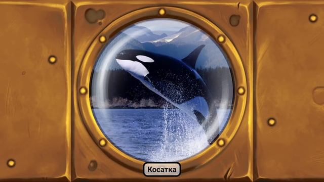 ?Звуки Морских Животных?. Играем вместе. Игрушки и игры с детьми. смотреть онлайн