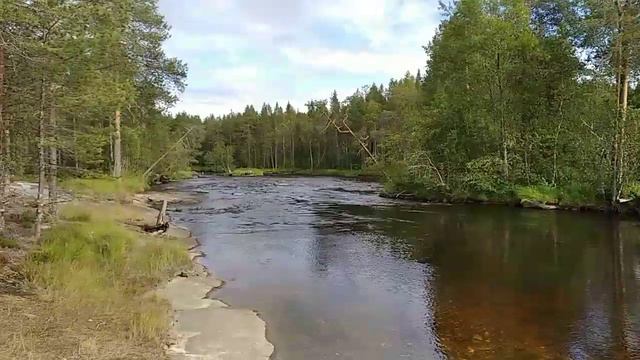 Река Калга. Карелия. Стоянка. 22 июля 2021 г. смотреть онлайн