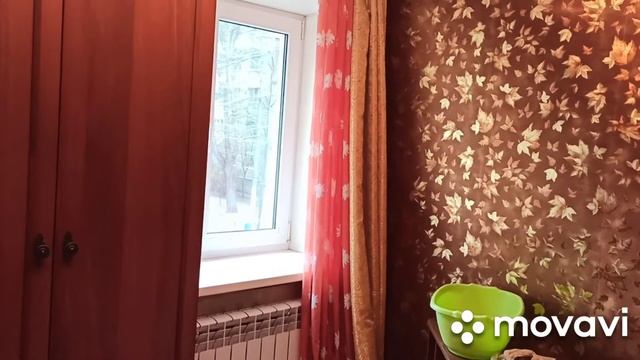 Мою окна / Расставляю цветы на место