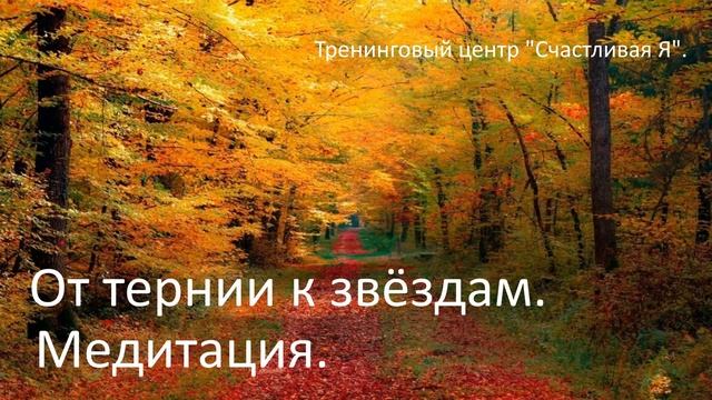 Открытая встреча "Через тернии к звёздам". Медитация. смотреть онлайн
