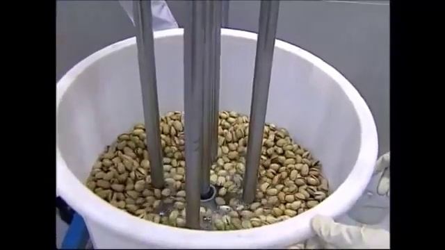 Как это сделано Сбор фисташки. How It’s Made Pistachio Harvest. смотреть онлайн