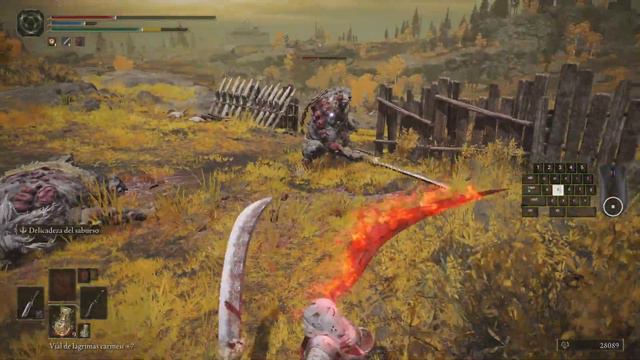 La DarkRun | Elden Ring Cap100. Version 1.10.1. смотреть онлайн